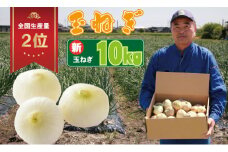 【先行予約受付中】平石さん家の玉ねぎ！サイズL～Mサイズ（10kg）新玉ねぎ