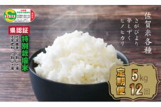 【定期便】(12ヶ月連続お届け) 佐賀県認定 特別栽培米  佐賀米（5kg X 12回）田中農場