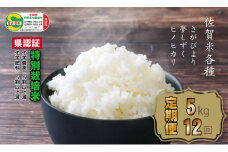 【定期便】(12ヶ月連続お届け) 佐賀県認定 特別栽培米  佐賀米（5kg X 12回）田中農場