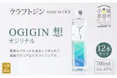 天山名水でつくる小城のクラフトジン OGIGIN想オリジナル700ml X 12本セット