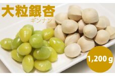 【先行予約】大粒銀杏（1,200g）江里口加工所 ぎんなん 季節 旬の食材