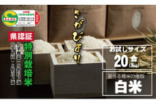 令和6年度産 佐賀県認定 特別栽培米 味試し！さがびより20合（３ｋｇ）田中農場 （白米） 
