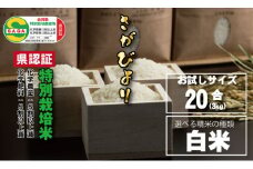 令和6年度産 佐賀県認定 特別栽培米 味試し！さがびより20合（３ｋｇ）田中農場 （白米） 