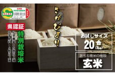 令和6年度産  佐賀県認定 特別栽培米 味試し！さがびより20合（３ｋｇ）田中農場 （玄米）