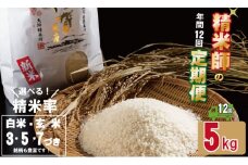 【定期便】 (12ヶ月連続お届け) 大坪精米所 佐賀ブランド米定期便（5kg×12回） 選べる精米率（玄米・3分.5分.7分づき・白米）