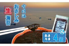氷結 有明海産「おさしみ生海苔」（20g×4袋）乃市商店