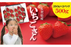 佐賀ブランド苺「いちごさん」合計500g（250g×2セット）凛々 イチゴ 