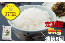 【定期便】ご飯ソムリエ厳選！連続6回 佐賀ブランド米 夢しずく（5kg×6回）肥前糧食