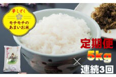 【定期便】ご飯ソムリエ厳選！連続3回 佐賀ブランド米 夢しずく（5kg×3回）肥前糧食