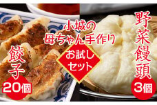 【お試しセット】小城の母ちゃんの手作りぎょうざ（特製タレ付き）、野菜まんじゅうセット 餃子 無添加 