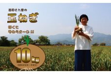 【先行予約受付中】長期保存用（中晩生～晩生）玉ねぎ（10kg）サイズL～M 吉田農園 （たまねぎ、玉葱）