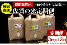 【定期便】(12ヶ月連続お届け)  田中農場 特別栽培認定 佐賀米3kg X 12回コース 
