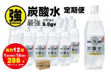 【定期便】（12ヶ月連続お届け）強炭酸水（500ml）１ケース（24本入り）×12回  水・ミネラルウォーター