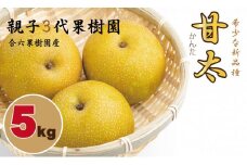 【先行予約受付中】甘太「かんた」 梨（５kg） 親子三世代 農家 合六果樹園 