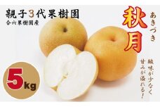 【先行予約受付中】あきづき「秋月」 梨 （５kg）親子三世代 農家 合六果樹園 