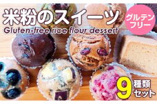 小麦粉不使用 米粉のスイーツ（マフィン、シフォンケーキ、ガトーショコラ）9点セット（NEW07）グルテンフリー サンテカフェまる
