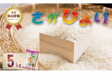  佐賀ブランド米「さがびより」5kg  さかぐち