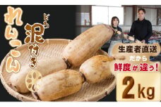 【先行予約】大人気！佐賀県産泥付きれんこん（2kg） もりながファーム