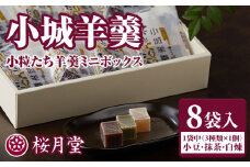 小城羊羹 こつぶたちようかん ボックス 8袋入り（3味×各1個）桜月堂 小分け 一口サイズ ミニサイズ ようかん 詰め合わせ 父の日 母の日 敬老の日 贈答 プレゼント 贈り物 お茶 スポーツ 