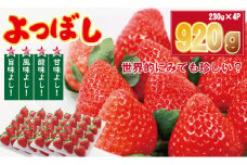 佐賀県産いちご「よつぼし」（230g×4パック）920g しもむら農園 イチゴ 苺