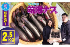 小城市産 筑陽ナス （2.5kg）朝採れ 新鮮 ハウス栽培 茄子 なす