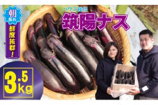 小城市産 筑陽ナス （3.5kg）朝採れ 新鮮 ハウス栽培 茄子 なす