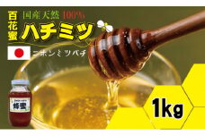 はちみつ（日本蜜蜂）蜂蜜（百花蜜）1,000g 西山養蜂 日本 ハチミツ honey