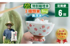 【定期便】（連続６回） 佐賀県認定 特別栽培米 「農薬：栽培期間中不使用」佐賀ブランド米各種 無洗米 30kg （5㎏×6回）しもむら農園
