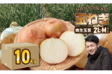 【先行予約受付中】タマネギ（晩生玉ねぎ）なかはら農園 （10kg）サイズ2L～Mサイズ （たまねぎ、玉葱）