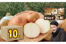 【先行予約受付中】タマネギ（新玉ねぎ）なかはら農園 （10kg）サイズ2L～Mサイズ （たまねぎ、玉葱）