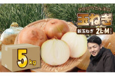 【先行予約受付中】タマネギ（新玉ねぎ）なかはら農園 （5kg）サイズ2L～Mサイズ （たまねぎ、玉葱）