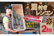 【先行予約】佐賀県産 泥付き レンコン（2kg） 有明・潮風ファーム 蓮根 れんこん