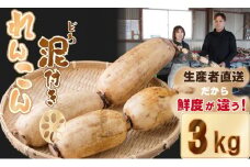 【先行予約】大人気！佐賀県産泥付きれんこん（3kg） もりながファーム