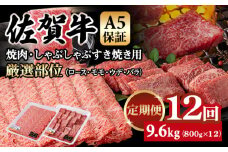 【定期便】佐賀牛 A5  焼肉・しゃぶしゃぶすき焼き 厳選部位 合計800g（400g x 各1P）12回定期 計9.6kg(800gx12) 桑原畜産 小分け ブランド牛 黒毛和牛 人気 高評価 佐賀県 小城市