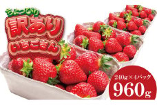 訳あり 不揃い粒の いちごさん 通常サイズ （ 240ｇ×４Ｐ ）960g 江島農園 農家 直送品 果物 くだもの フルーツ