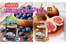 まるごと濃縮！いちじく ＆ ブルーベリー ジャム セット （190g×各１個） ジョブクリエイト フルーツ 果実 自家製 天然素材 健康