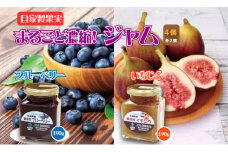 まるごと濃縮！いちじく ＆ ブルーベリー ジャム セット （190g×各2個） ジョブクリエイト フルーツ 果実 自家製 天然素材 健康