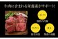 佐賀牛 牛肉 すき焼き しゃぶしゃぶ 牛肉すき焼き 牛肉しゃぶしゃぶ すきやき すき焼き用 しゃぶしゃぶ用