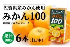 佐賀県産みかん使用 みかん100（ 紙パック 1L×6本）温州みかん 天然 果汁100% ビタミンC 酸味 甘み みかん ジュース 佐賀県 小城市