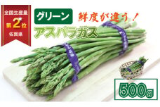 採れたて新鮮！アスパラガス（500g）百島農園 生産者直送 野菜 人気 ランキング 高評価 