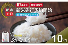 【先行予約 新米 受付開始】【数量限定】R7年度産 佐賀ブランド 米「さがびより」10kg（白米）【11月順次発送予定】 大坪精米所