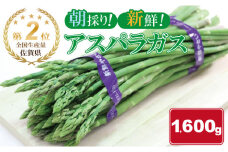 全国生産量 第2位！アスパラガス（1,600g）新鮮採れたて 農家直送 佐賀県産