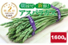 全国生産量 第2位！アスパラガス（1,600g）新鮮採れたて 農家直送 佐賀県産