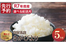 【12月出荷】先行予約 佐賀ブランド米「さがびより」5kg（5kg×1）潮風F