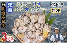 天然 有明海産「冷凍スミノエ牡蠣」スミ☆スター3Kg 殻付き牡蠣 加熱調理用 はしま海苔