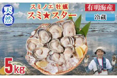【3月配送】【先行予約】天然 有明海産「冷蔵スミノエ牡蠣」スミ☆スター5Kg　はしま海苔 