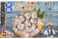 【5月配送】【先行予約】天然 有明海産「冷蔵スミノエ牡蠣」スミ☆スター5Kg 殻付き牡蠣 はしま海苔 