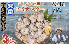 【3月配送】【先行予約】天然 有明海産「冷蔵スミノエ牡蠣」スミ☆スター3Kg 殻付き牡蠣 はしま海苔 
