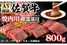 【佐賀牛】【9月】A5 焼肉用 厳選部位 800g（400g×2P）桑原畜産 焼肉 ブランド牛 黒毛和牛 焼肉 九州 佐賀牛 A5だけ 薄切り 焼き肉 やきにく 焼肉 人気 ランキング 高評価 焼肉 牛肉 国産