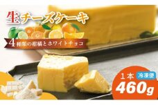 おりしま生チーズケーキ（460g）４種類の柑橘とホワイトチョコ、濃厚チーズがとろける ケーキ 冷凍便 ユニコ 佐賀県産小麦粉「春風」使用 お祝い クリーミー デザート スイーツ プレゼント ギフト 贈り物 クリスマス お土産 誕生日 おやつ